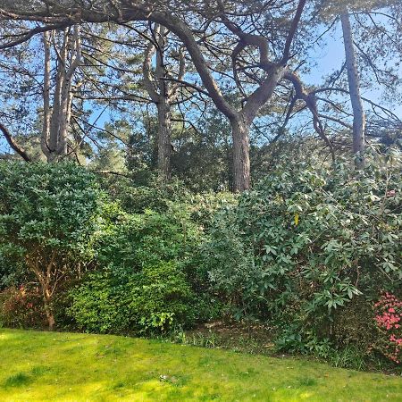 Peaceful Getaway In Forested Park Bournemouth Zewnętrze zdjęcie