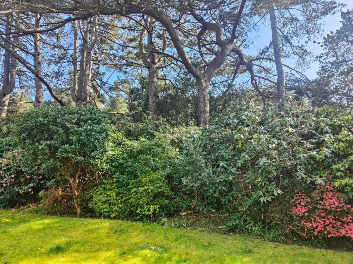 Peaceful Getaway In Forested Park Bournemouth Zewnętrze zdjęcie
