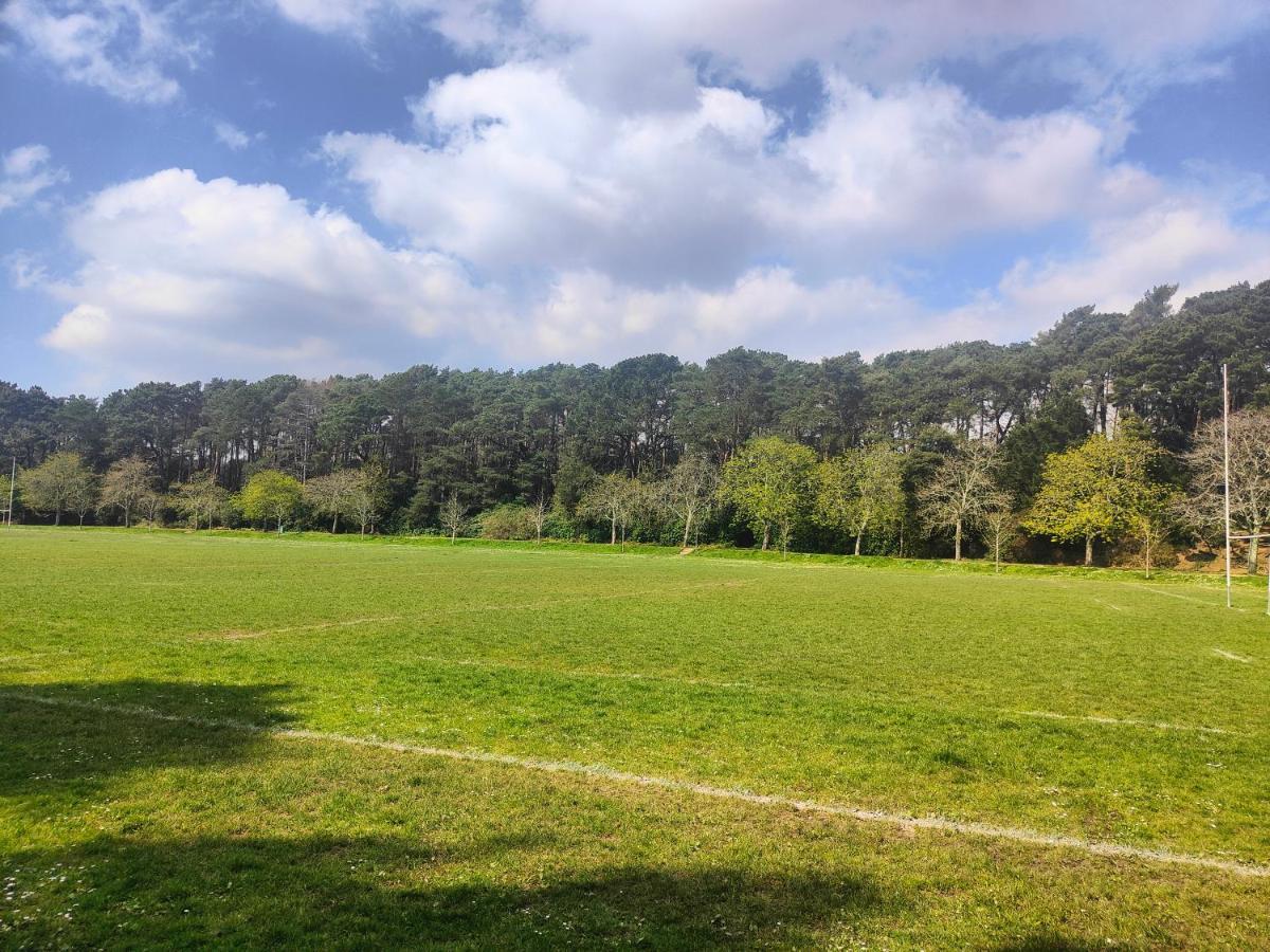 Peaceful Getaway In Forested Park Bournemouth Zewnętrze zdjęcie